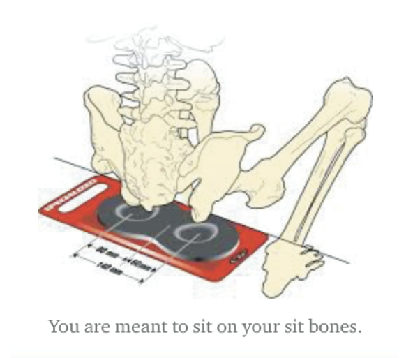 Sit bones