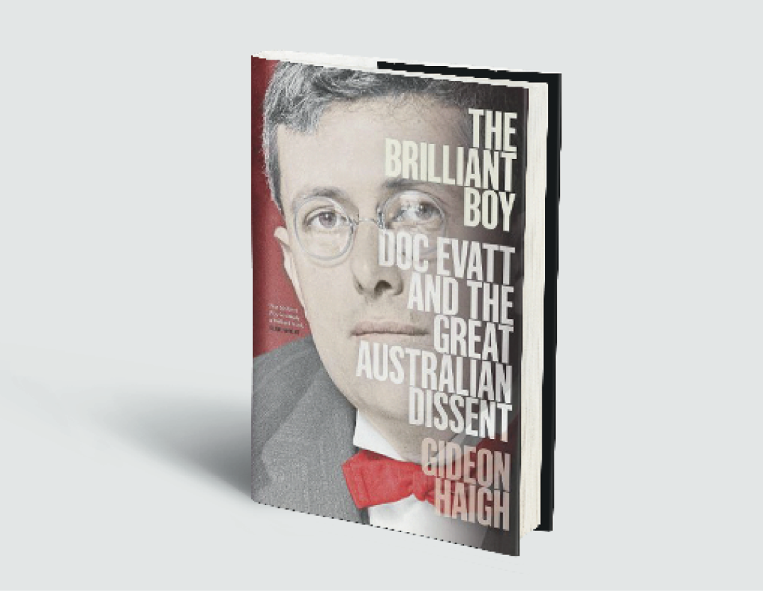 book cover of The Brilliant Boy by Gideon Haigh